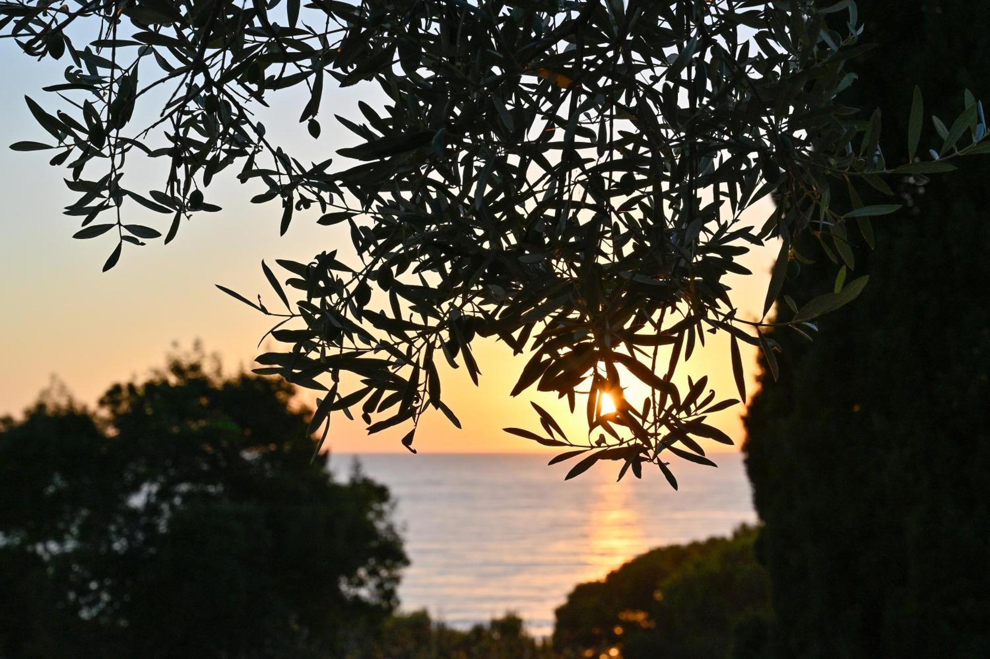 Albeca Boutique Hotel - Relais De Charme Sul Mare Castellabate Exterior photo